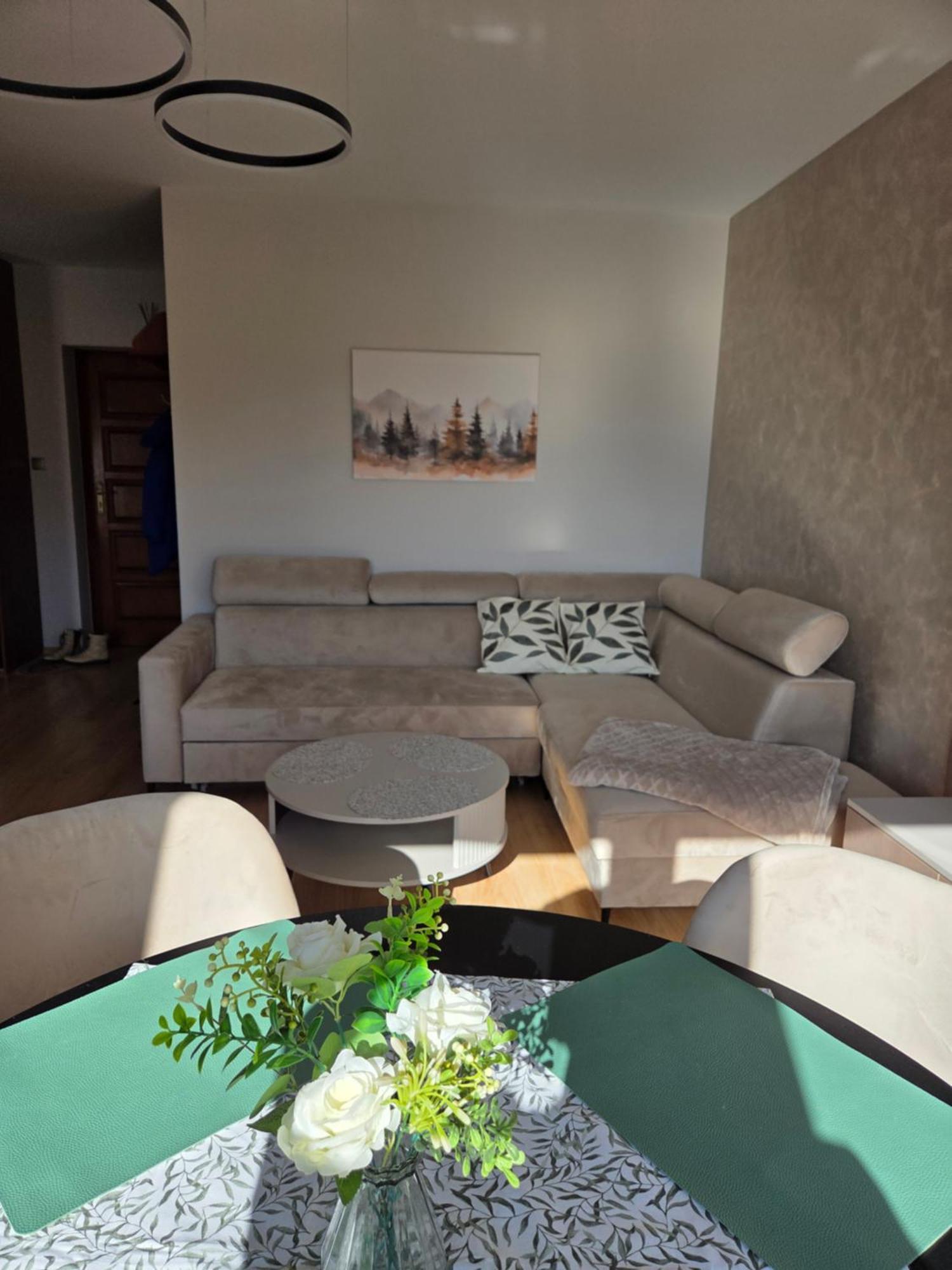 Apartament Kasprowy Kościelisko Buitenkant foto